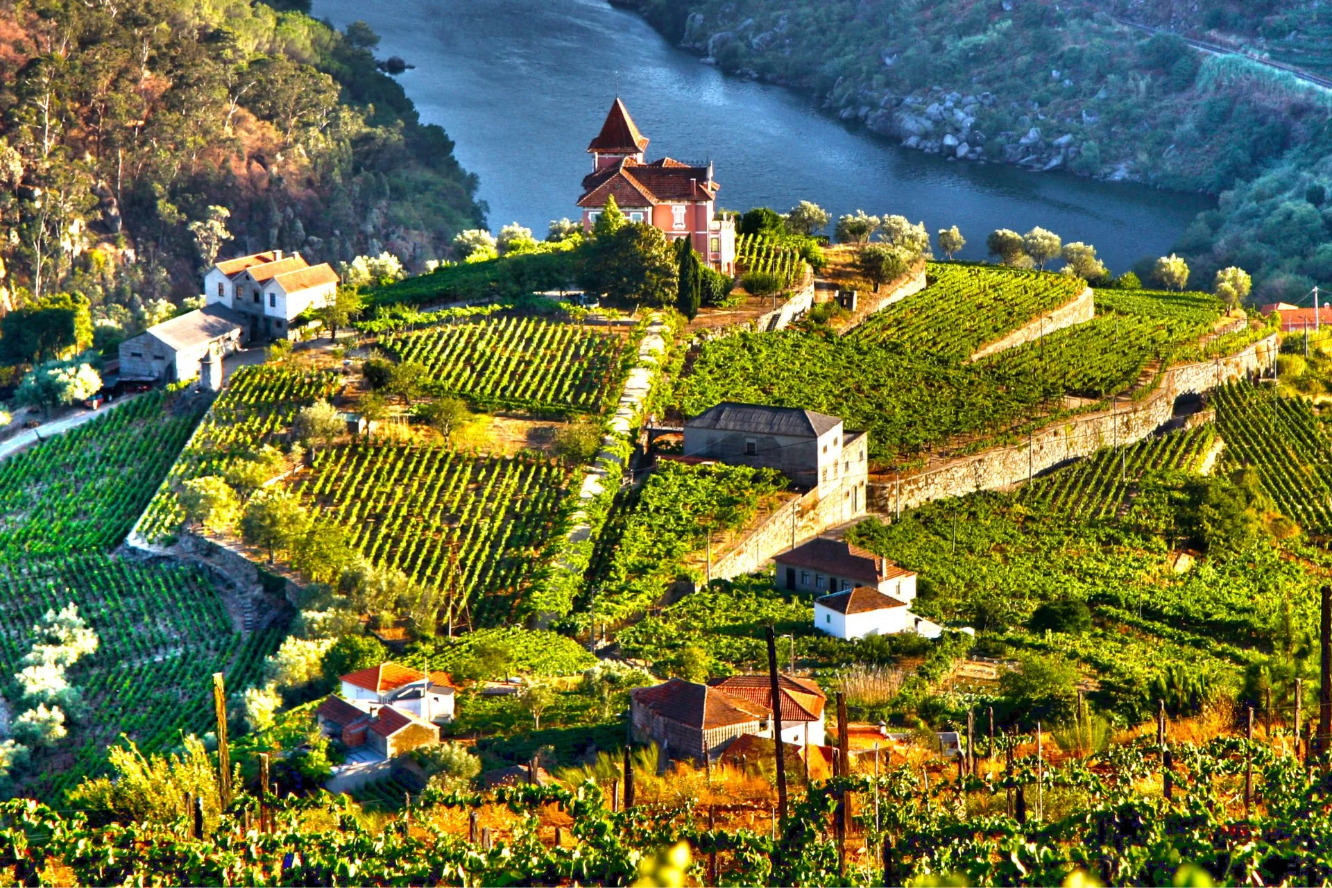 cultural-tours-wine-food-fab-trave-portugal-meetings-incentives-dmc-incoming-tour-operator (5)