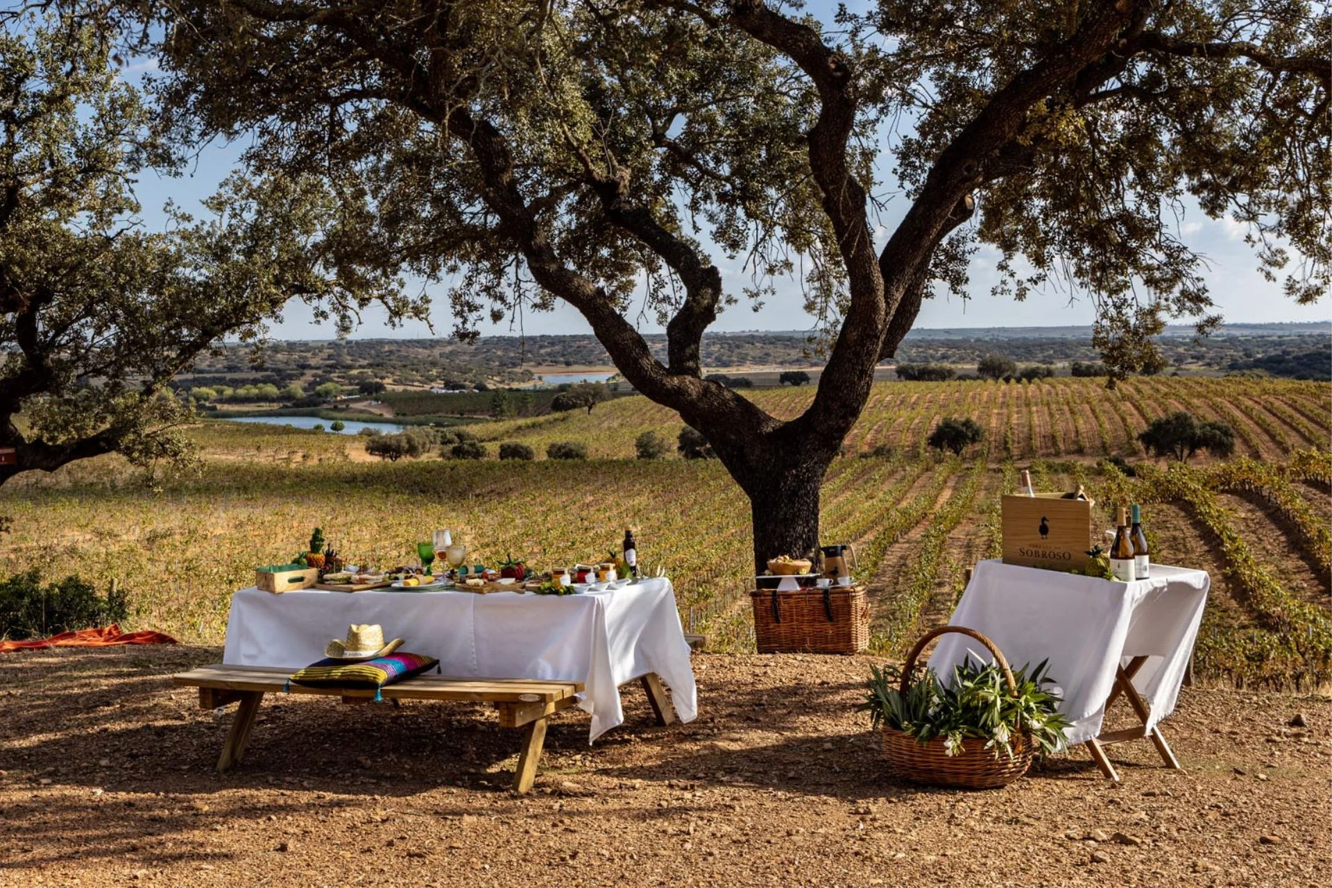 Wine and Food Tours in Portugal - lunch in a vineyard