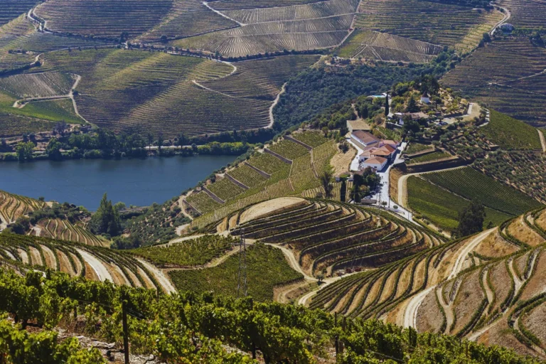 Corporate Incentive trips